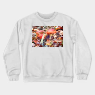 Magic Mushrooms Crewneck Sweatshirt